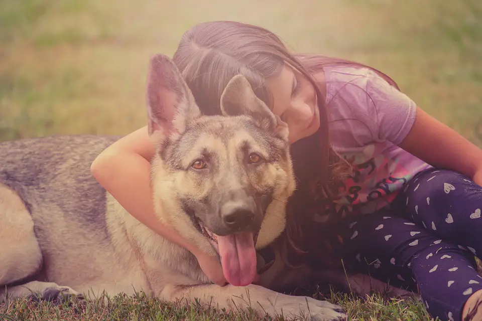 How to potty train a German Shepherd puppy kid and dog.