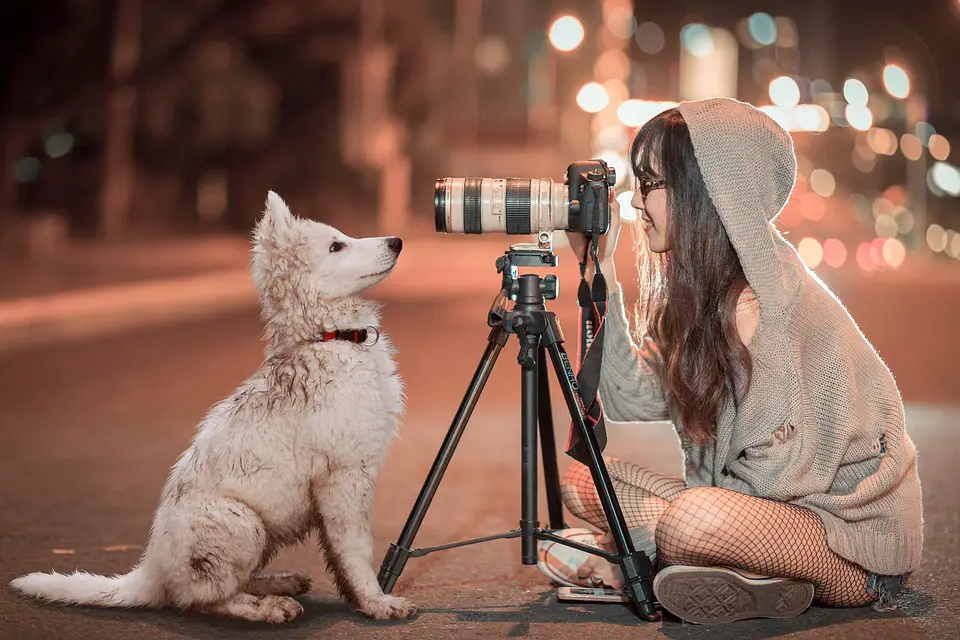 girl taking a picture of her groomed pup. how much does dog grooming cost?