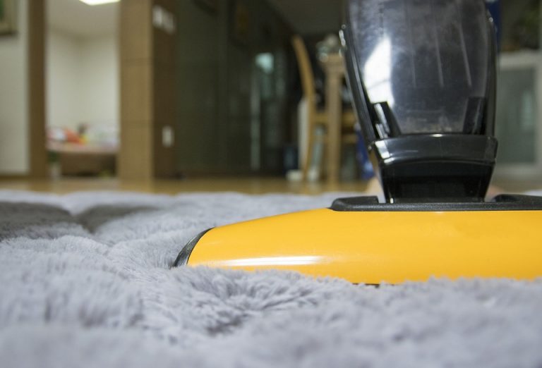 How to Get Dog Hair out of Carpet Easily Using Simple Methods