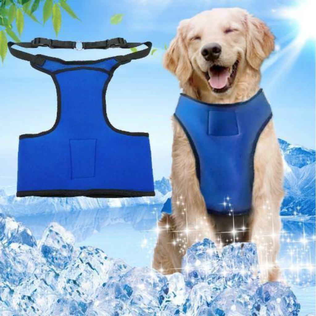 Features Of The Best Cooling Mat For Dogs Glamorous Dogs