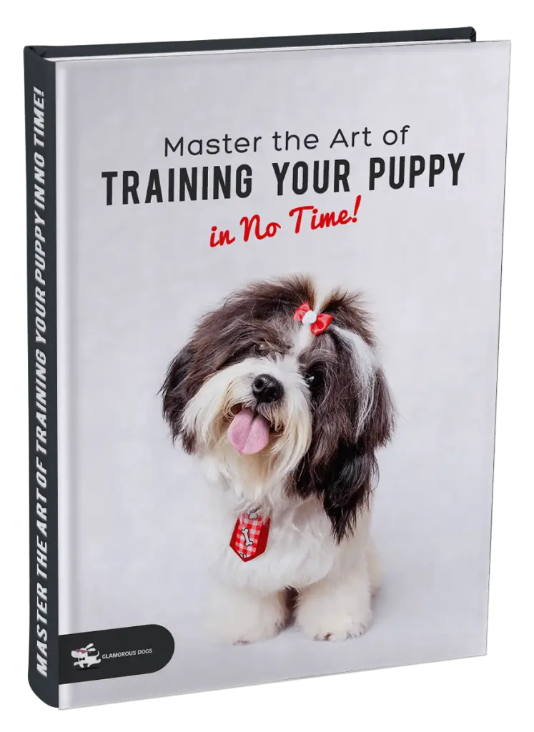 Top 10 Dog Training Books Every Dog Owner Should Read ...