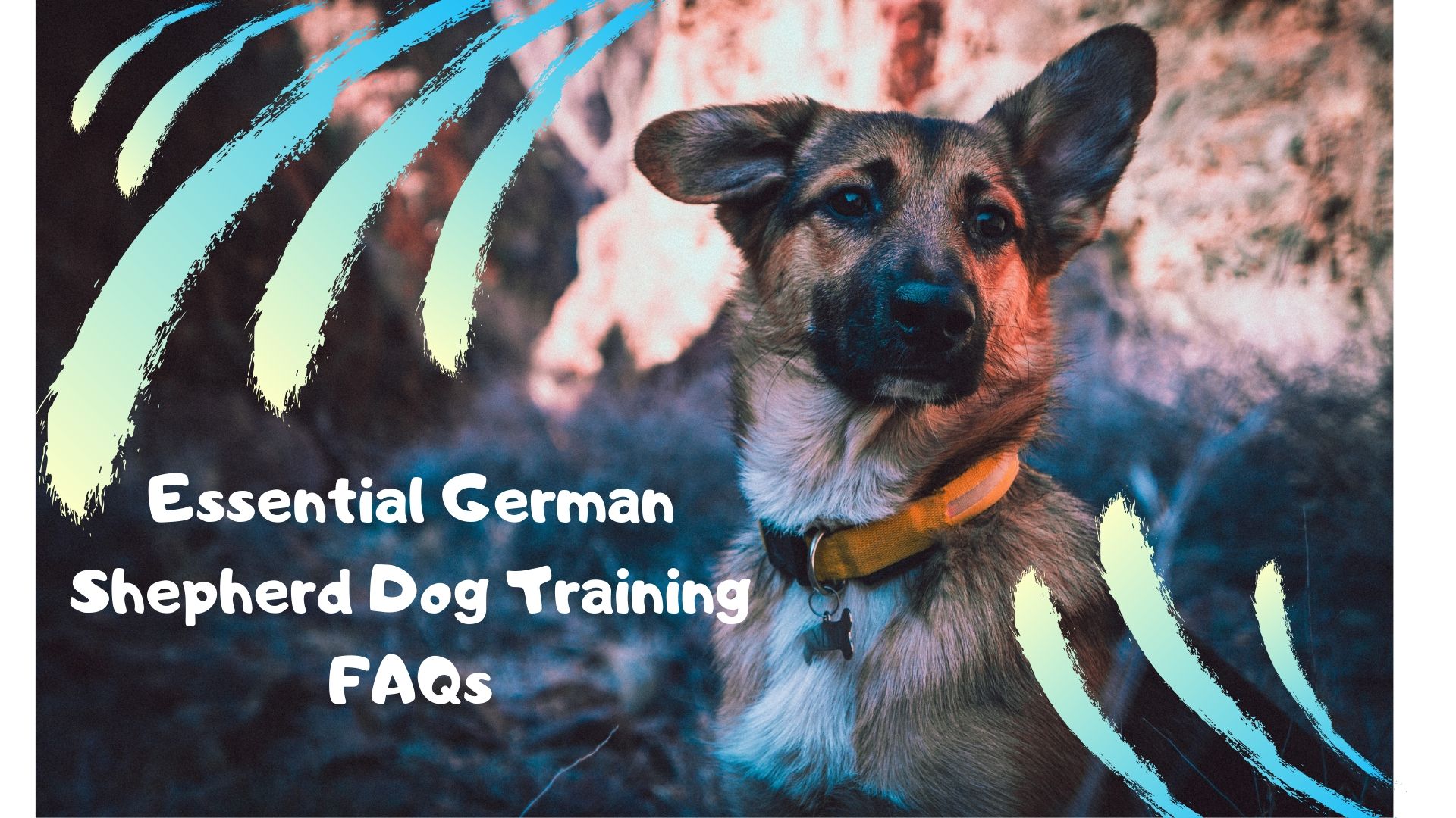 Essential German Shepherd Dog Training FAQs