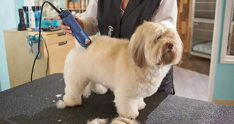 best dog grooming clippers