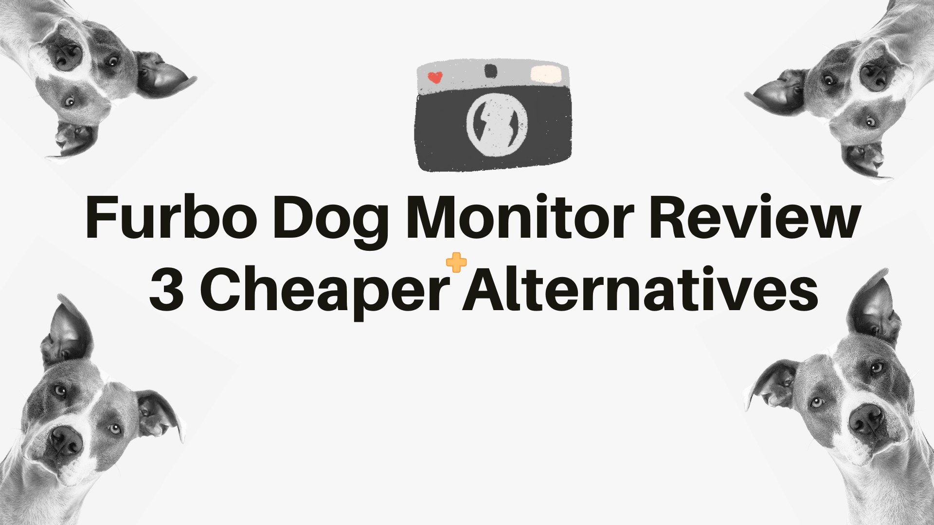 Furbo Dog Monitor Review + 3 Cheaper Alternatives