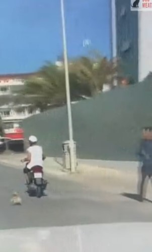 Two Women Rescue Dog Dragged Along Scooter On Its Way to Be Sold for Meat Two Women Rescue Dog Dragged Along Scooter On Its Way to Be Sold for Meat |