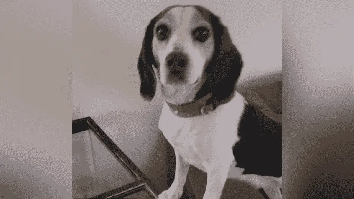 Family Is Offering 10K To Anyone Who Knows The Criminal That Chopped