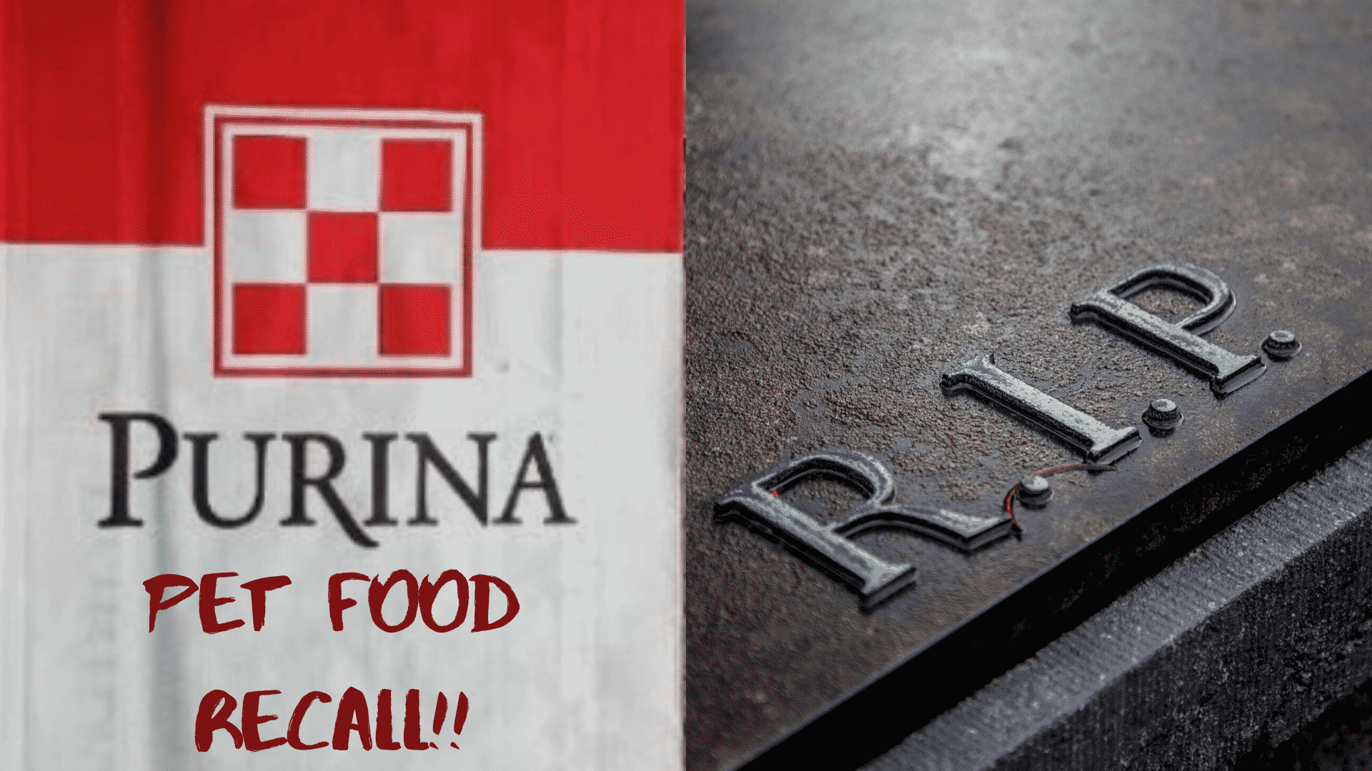 After they Received Sickness and Death Complaints, Purina Recalled 6