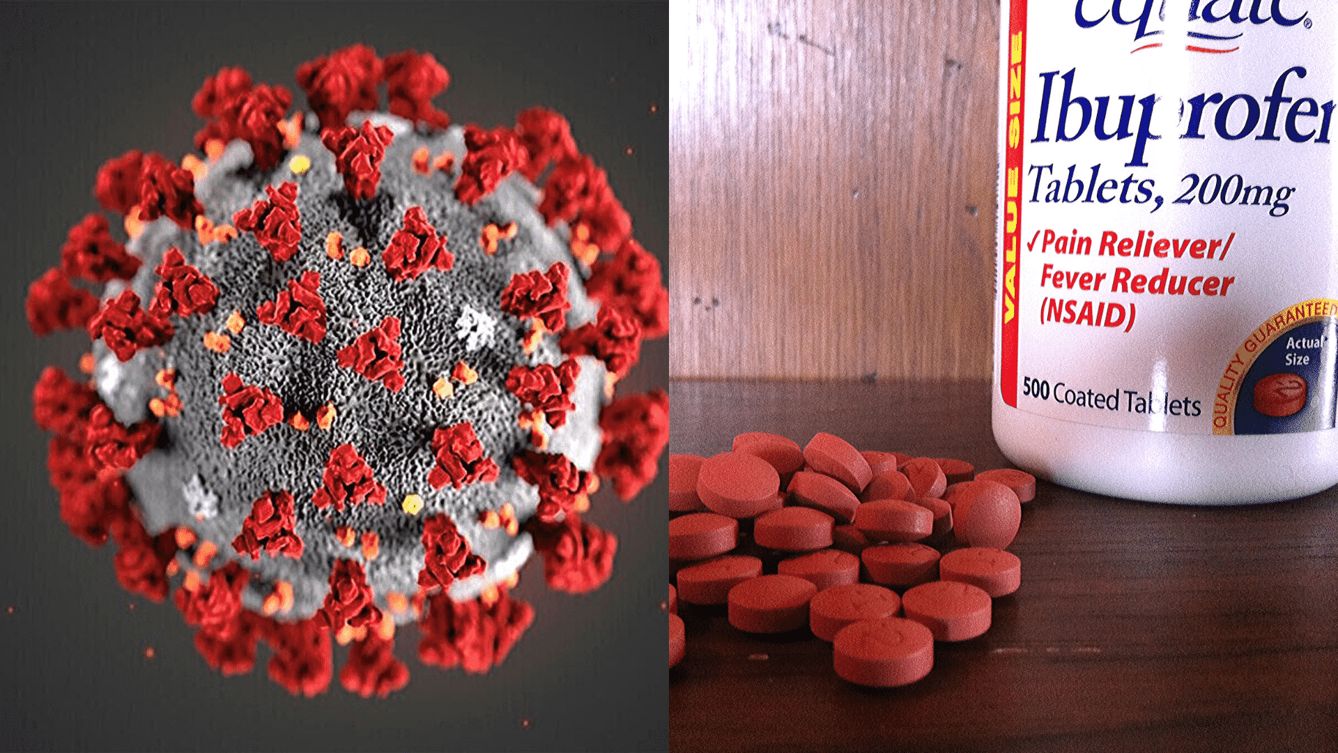 WHO Updates To Take or Not to Take Ibuprofen? Glamorous Dogs